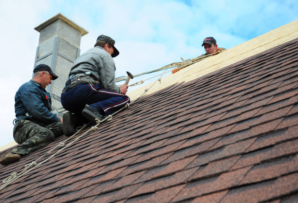 Best Storm Damage Roof Repair  in Wildwood, TN